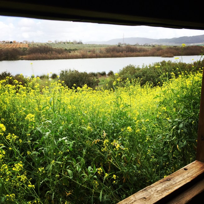 29095293_191430994793183_13671619637542912_n